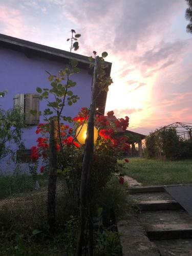 Agroturismo Cascina La Maddalena Bed & Wine