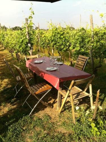 Agroturismo Cascina La Maddalena Bed & Wine
