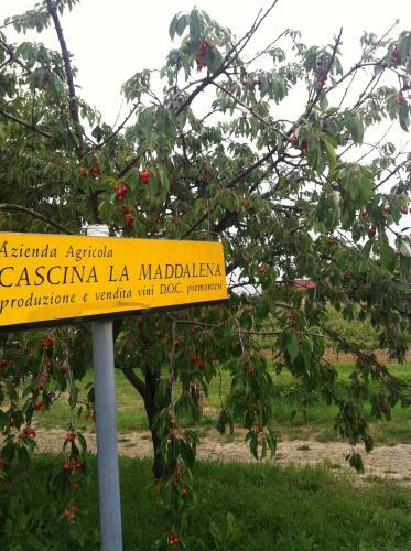 Agroturismo Cascina La Maddalena Bed & Wine