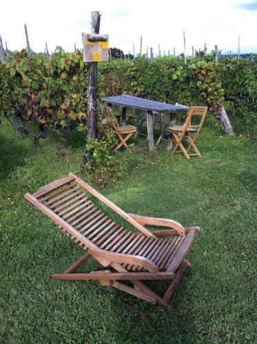 Agroturismo Cascina La Maddalena Bed & Wine