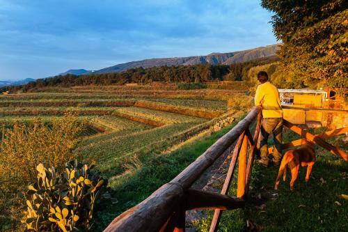 Agroturismo Wine Resort Villagrande