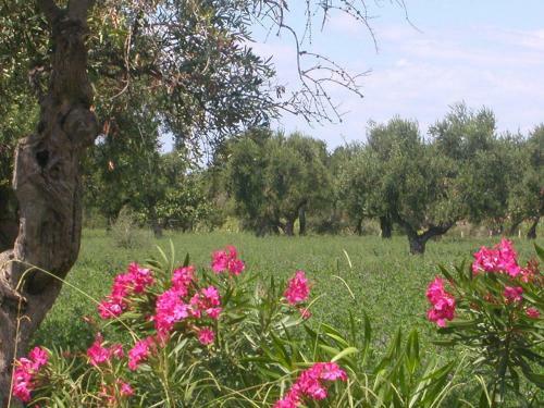 Hotel Affittacamere Villa Brazzano