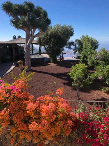 Villa Historic Canarian House, Private Heated Infinity Pool, Bbq, Wifi + Panoramic Ocean Views