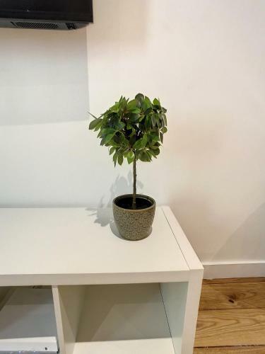 Apartamento Studio Hyper Centre Gare Vieille Antibes Mer 2pers