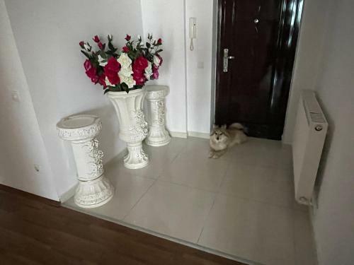 Apartamento Medaria Residence