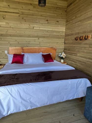 Madeira Glamping