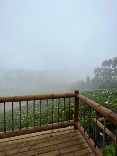 Madeira Glamping