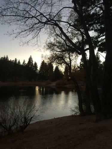 Clayton's Hideaway - Steps From The Forest Edge