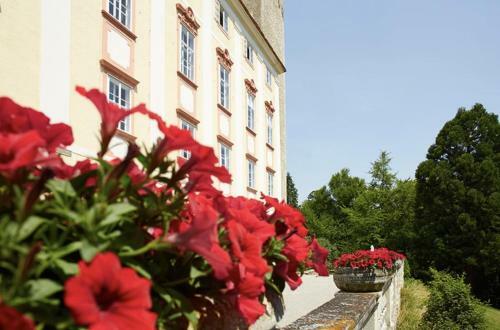 Villa Exklusiver, Privater Schlosstrakt Im Schloss Horn