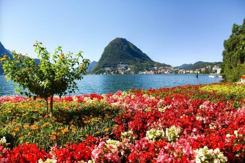 Santi Apartment Few Min From Lake - Happy Rentals
