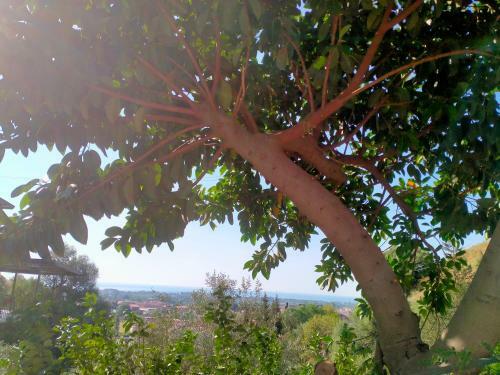 B&B Il Siriaco