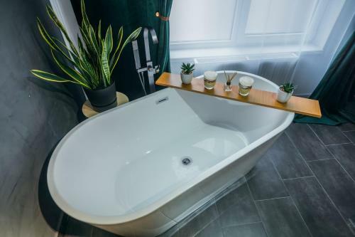 Apartamento Relaxing Flat Floresti