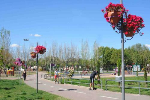 Apart Palmares