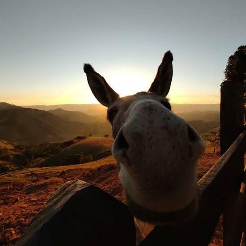 P�r Do Sol Mais Lindo Da Serra Da Mantiqueira