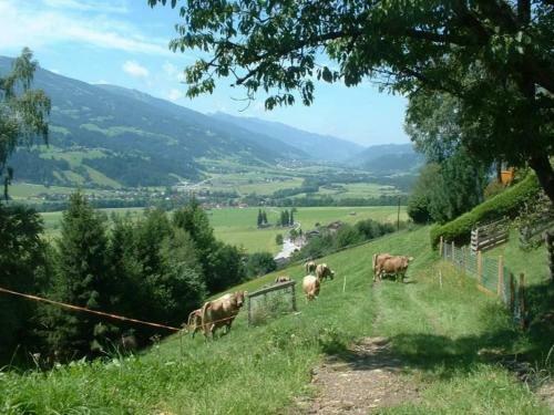 Agroturismo Fuchshof