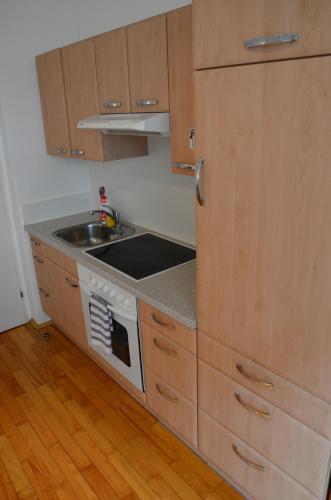 Apartment Linz City Centre