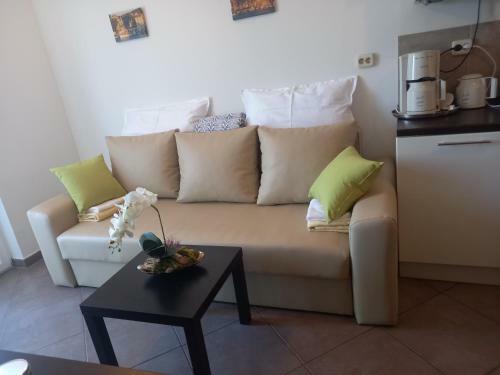 Villa Vila Afrodita
