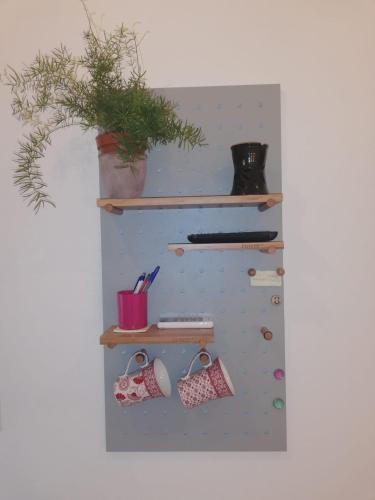 Apartment Flora