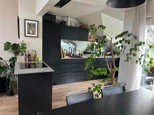 Apartamento Sentral Loftsleilighet Med Solfylt Utetplass