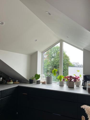Apartamento Sentral Loftsleilighet Med Solfylt Utetplass