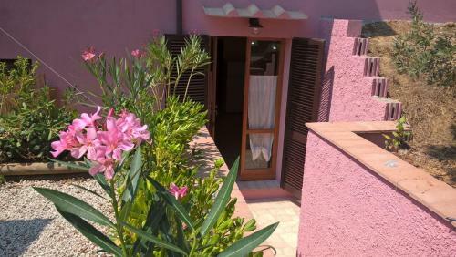Apartamento Appartamento L'oleandro