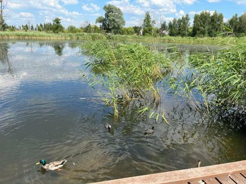 Sun River Apartament I?awa