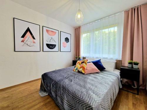 Apartament Brata Alberta