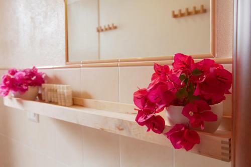 B&B Fiore