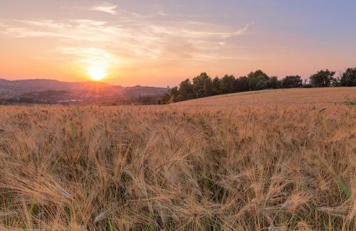 Agroturismo Rustico Del Conero