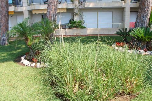 Apartamento Privilege Versailles Beach