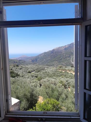 Apartamento View Home