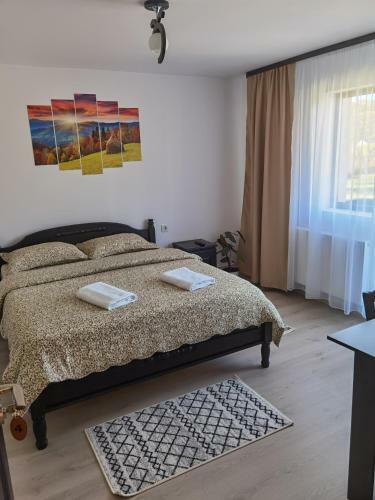 Hostal Pensiunea Poiana Dornei