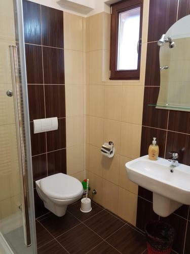 Hostal Pensiunea Cara