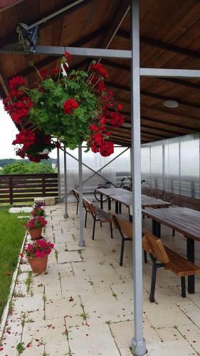 Hostal Pensiunea Cara