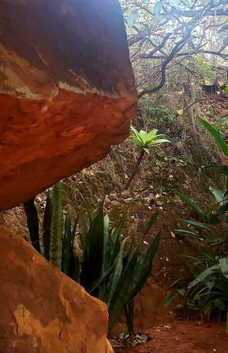Villa Chal� Caverna