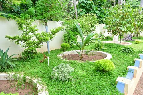 Villa Kollakudy Homestay