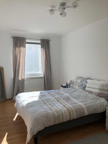 Mark Apartment