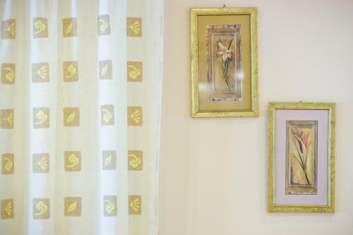 Gold N Blu Petalidi