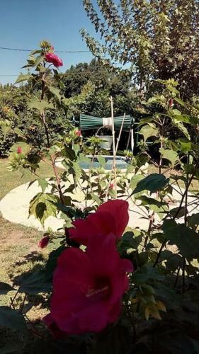 Tzena Apartment