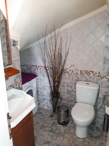 Seafront Privilege House Nikiti Beach