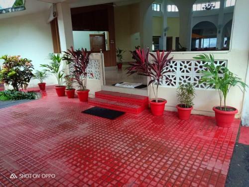 Hotel Hornbill Nest Resort