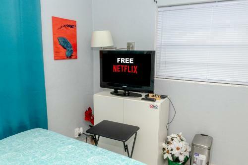 Room Palm