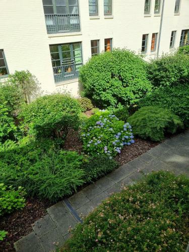 Apartamento Ferienwohnung Am S�dermarkt