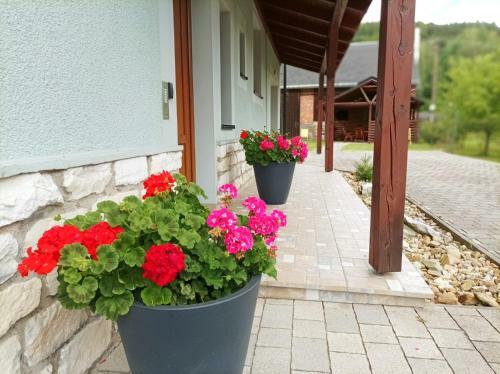 Apartm�nov� D?m Michael