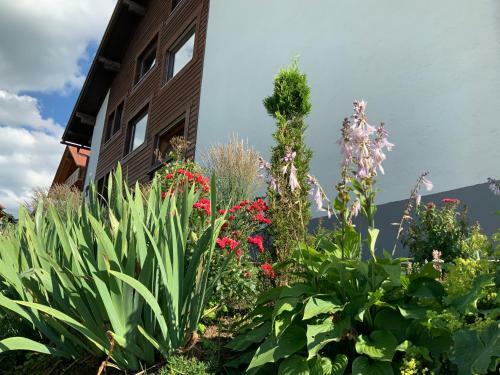 Apartamento Haus Der Hoffnung