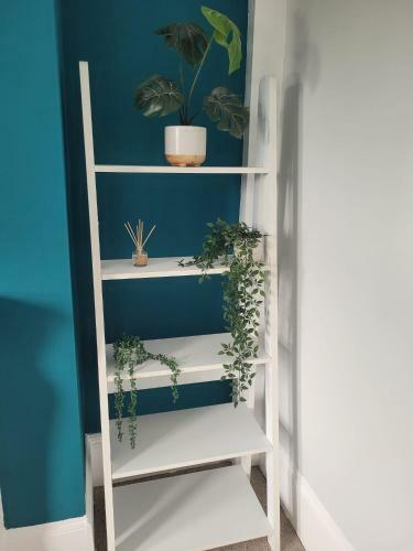 Coolinge Casa