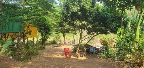 Bob's Nature Stay