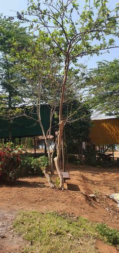 Bob's Nature Stay