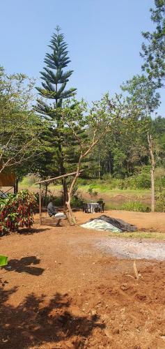 Bob's Nature Stay