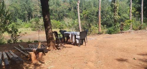 Bob's Nature Stay